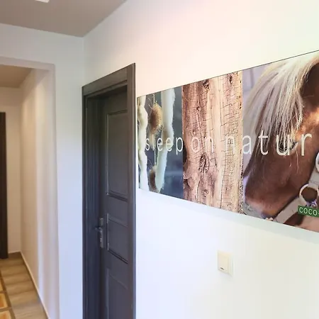 Appartamento Irini Patira